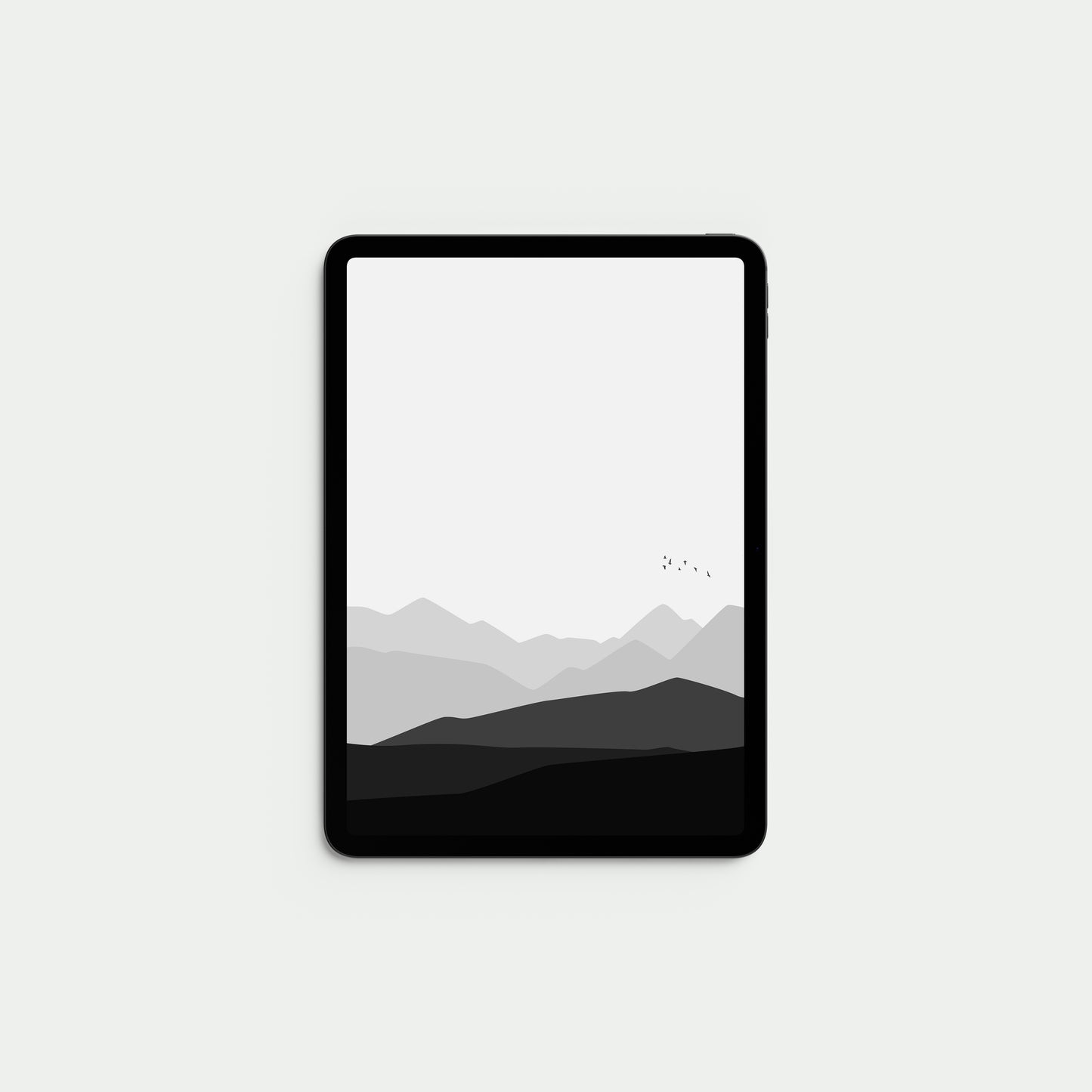 Birds Wallpaper pack